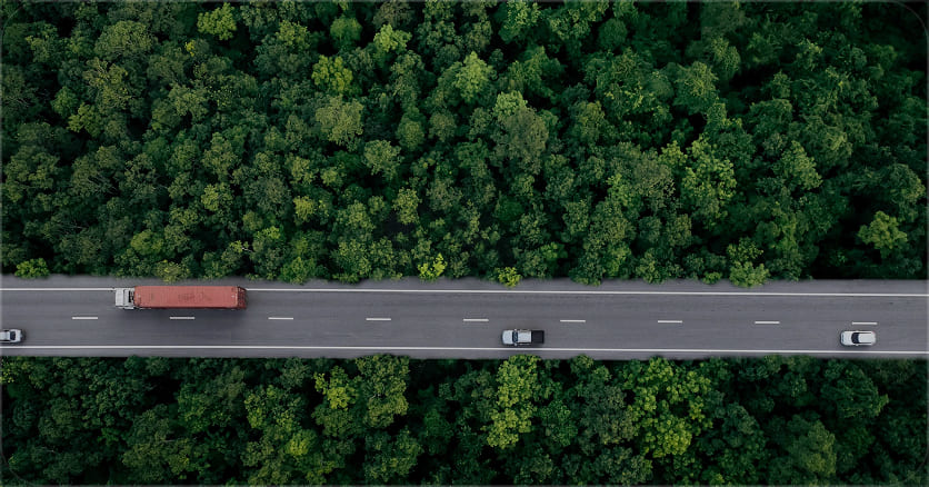 Drive Green
